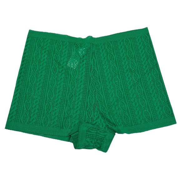 aerie Other - NWT AERIE Cable Lace Bikini (Cheeky) Pantie Underwear Sz L Green